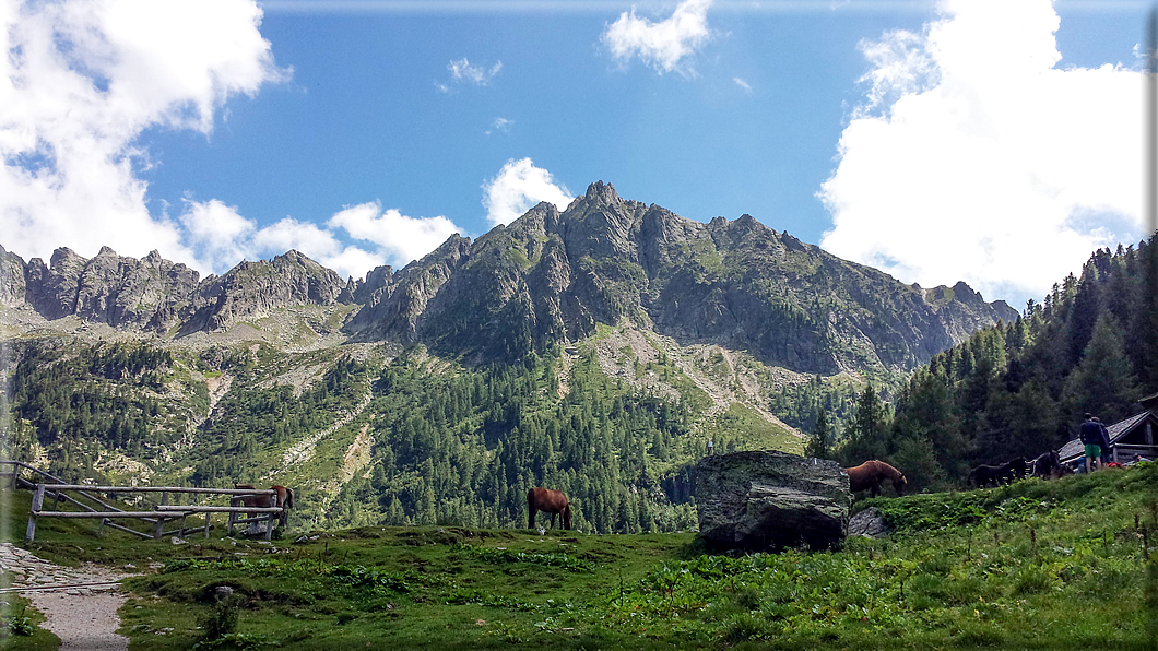 foto Piana di Caldenave